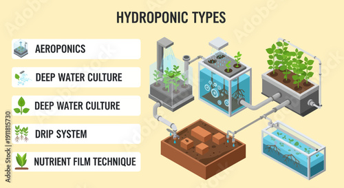 Hydroponic Systems for Soilless Plant Cultivation.