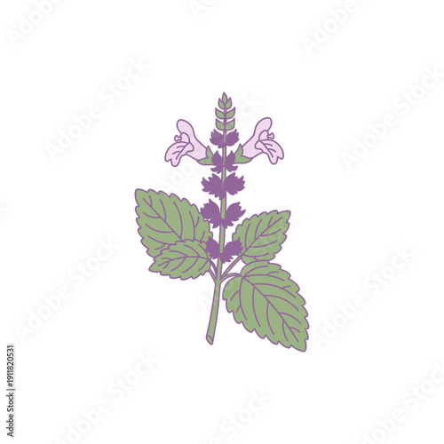 Lemon Balm Botanical Icon with Calm Balanced Composition Flat 2D Vector Illustration