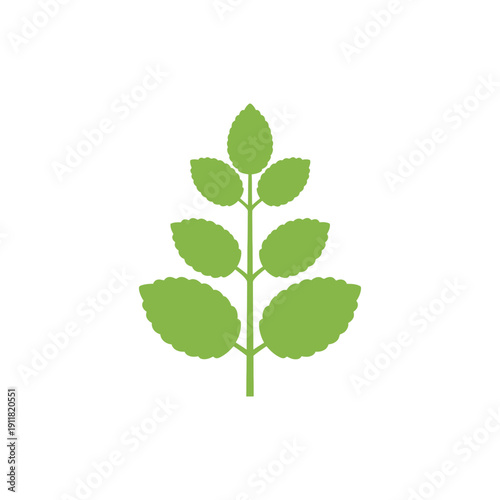 Lemon Balm Botanical Icon with Flat Solid Color Herbal Illustration Minimal 2D Vector Design