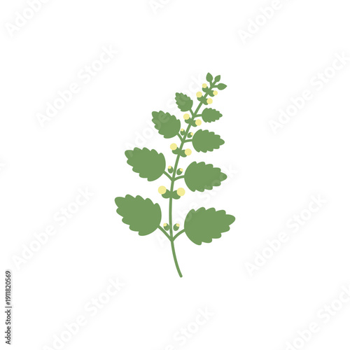 Lemon Balm Botanical Icon with Minimal Herbal Charm Flat Solid Color 2D Vector Illustration