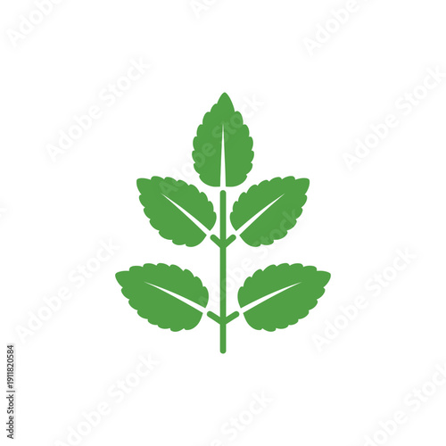 Lemon Balm Botanical Icon with Minimalistic Plant Form Flat Solid Color 2D Vector Illustration