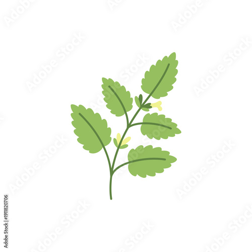 Lemon Balm Botanical Icon with Modern Flat Herbal Illustration, Clean 2D Vector Art