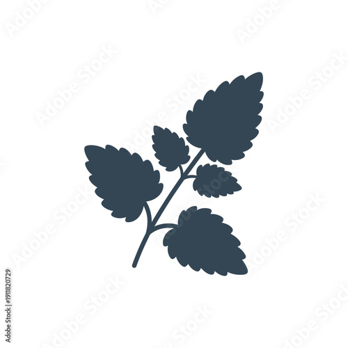 Lemon Balm Plant Minimal Detail Strong Silhouette Flat Solid Color Botanical Vector