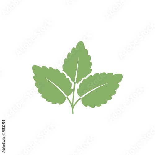 Lemon Balm Herb Flat Design Smooth Leaf Overlap Solid Colors Botanical 2D Vector Illustration