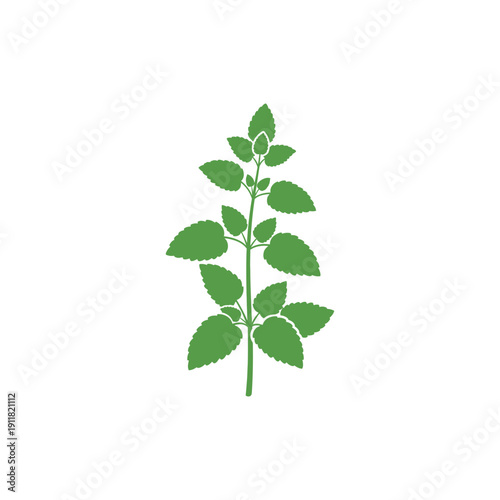 Lemon Balm Herb Icon Flat Minimal Botanical Style Vector Illustration