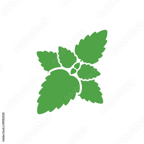 Lemon Balm Herb Icon Organic Leaf Flow Solid Color Flat Botanical Vector