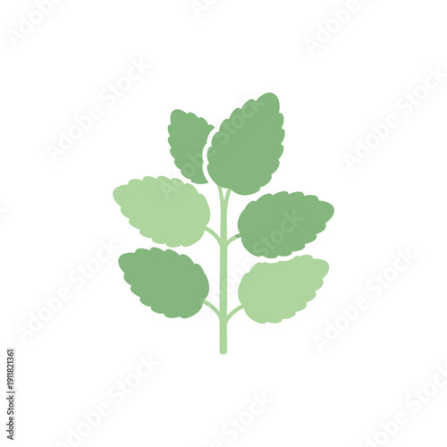 Lemon Balm Herb Icon with Soft Pastel Greens Flat Solid 2D Botanical Vector Illustration