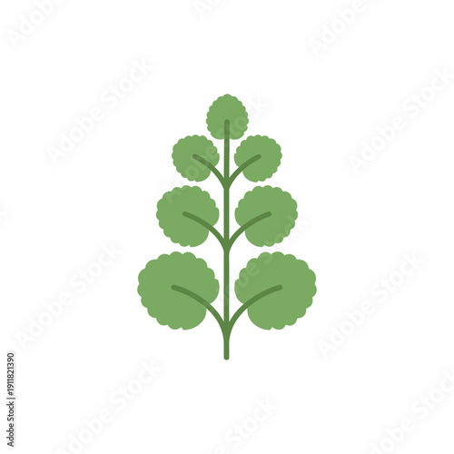 Lemon Balm Plant with Stylized Botanical Form, Flat 2D Herbal Vector Illustration