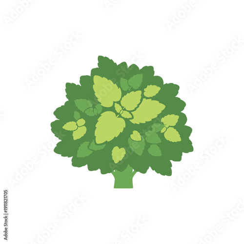 Lemon Balm Plant Icon Showing Compact Plant Mass Flat Solid Botanical Vector Illustration