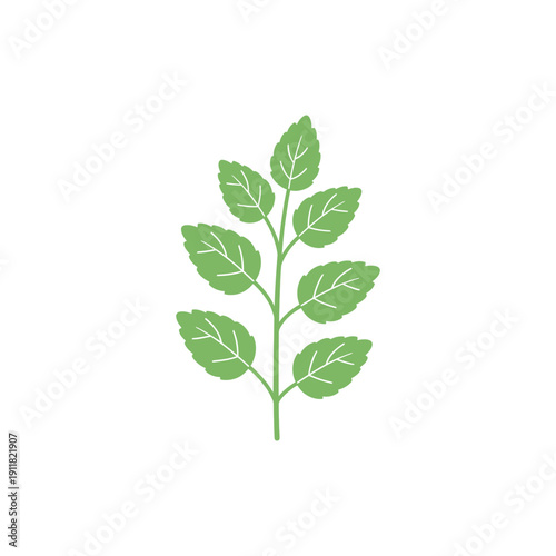 Lemon Balm Plant Icon Simplified Botanical Veins Flat Solid Colors 2D Vector Illustration