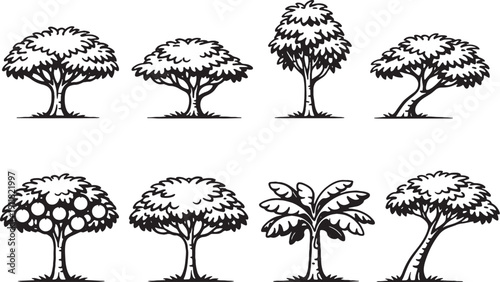 Canvastavla Pomelo Tree Line Art Icon Bundle Black White eps