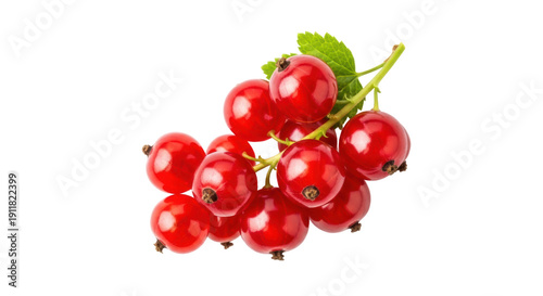 Red currant isolated PNG on transparent background, fresh juicy berries with green leaves for healthy eating and summer dessert