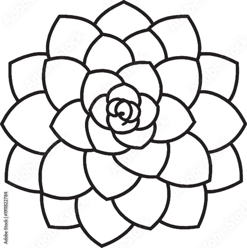 Desert succulent rosette black and white line art top view