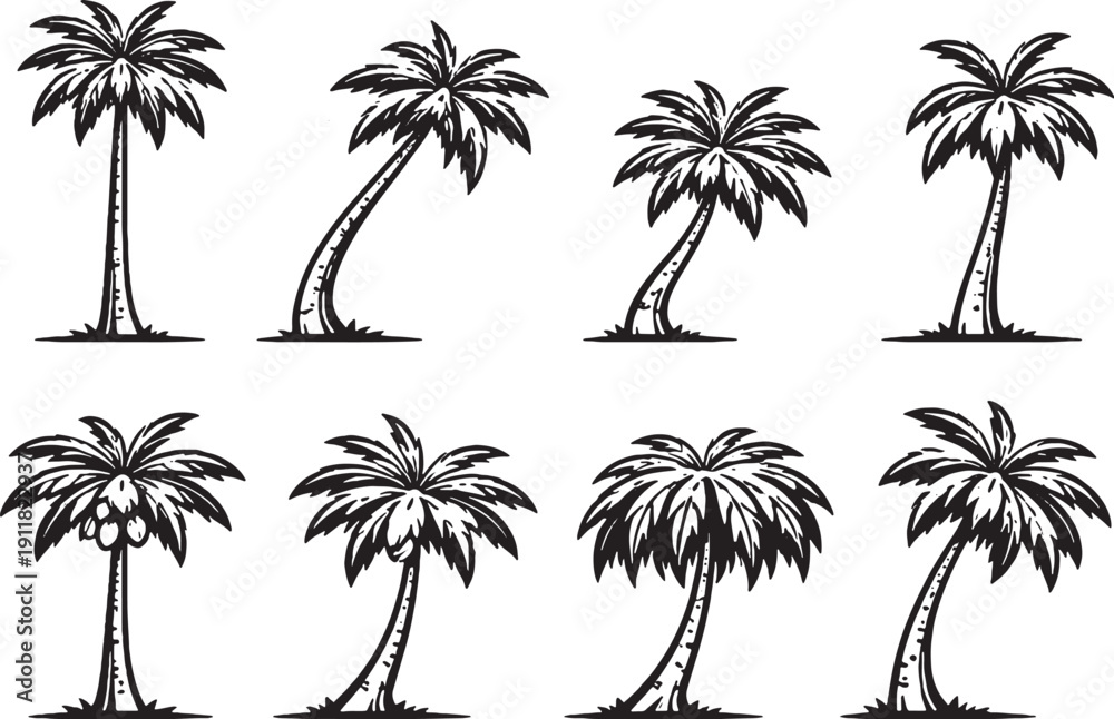 Fototapeta premium Coconut Palm Tree Line Art Icon Bundle Black and White