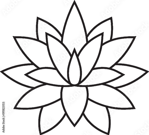 Agave plant symmetric rosette black and white line art top view