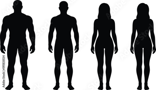 Full Body Human Silhouette Set Featuring Diverse Male and Female Figures for Anatomy Study, Fitness Tracking, Medical Illustration, Fashion Design, and Gender Representation