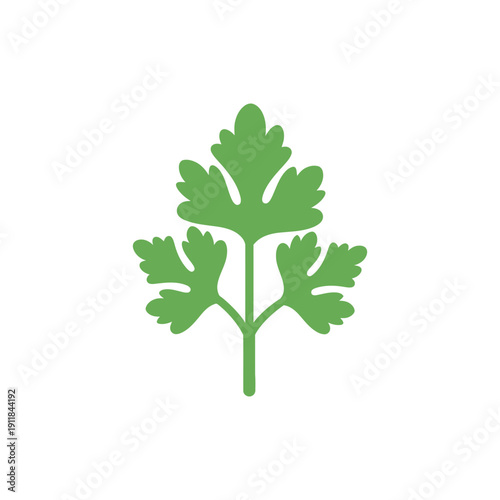 Curly Parsley Solid Color Flat Icon Vector Illustration Botanical Herb