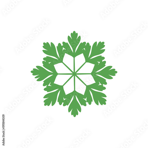 Radial Parsley Bunch Illustration Fresh Herb Leaves Culinary Garden Plant Icon