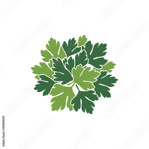 Parsley Leaf Collage Icon Vector, Fresh Herb Culinary and Botanical Design