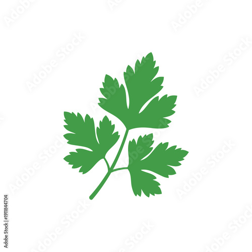 Colorful Parsley Leaves Silhouette Flat Icon Vector Herb Illustration Art