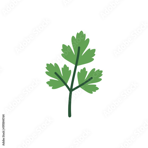 Flat Parsley Sprig Badge Vector Icon Culinary Herb Garden Illustration