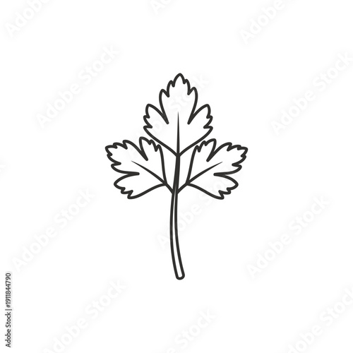Flat Parsley Sprig Emblem Vector Icon Culinary Herb Garden Illustration