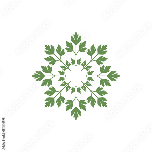 Parsley Sprig Mandala Icon Illustration Fresh Herb Botanical Circular Design