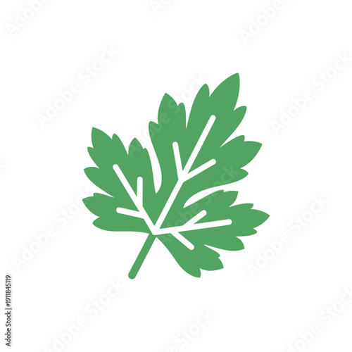 Parsley Leaf Flat Icon with Detail for Culinary, Organic Cooking, Fresh Green Herbs
