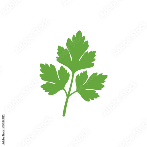 Parsley Leaf Silhouette Vector, Bright Flat Herb Icon for Culinary Design