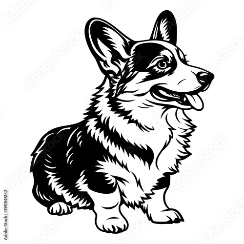 Artistic corgi dog sketch vector illustration for tattoo or sticker design