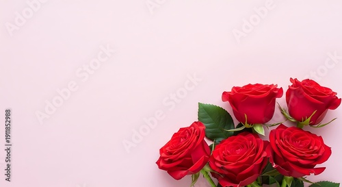 Aerial view of four red roses with green leaves on a soft pink background with ample space for text