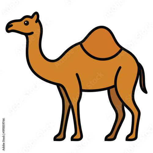 camel vector illustration