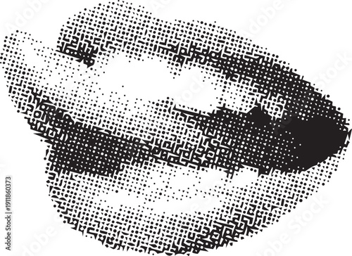 Halftone illustration of a shell with detailed texture and pattern