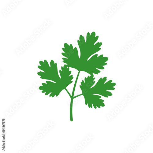 Coriander Leaves Flat Modern Botanical 2D Vector Icon