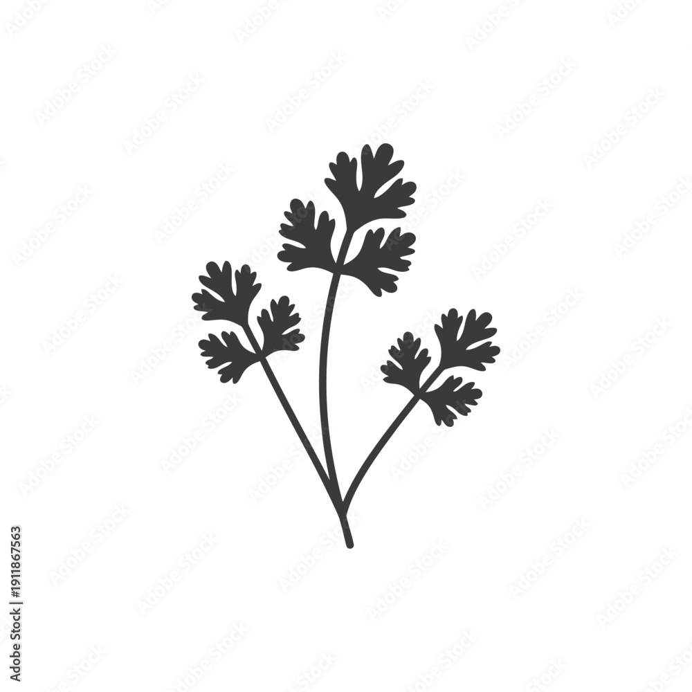 Fototapeta premium Coriander Plant Botanical Flat Solid Art Vector Icon