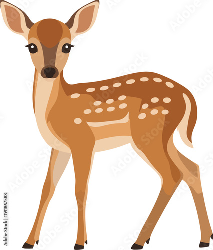 Fawn Illustration Standing with Spots, Cute Woodland Animal Vector Art