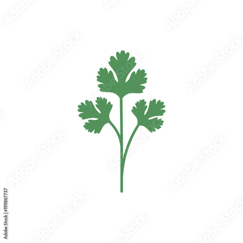 Coriander Plant Smooth Flat Vector Icon Design