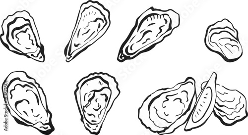 Set of doodle style oyster vector illustrations