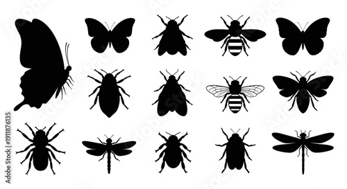 Collection of Silhouettes of Various Insects Including Butterflies, Bees, Beetles, and Dragonflies, Isolated on a White Background