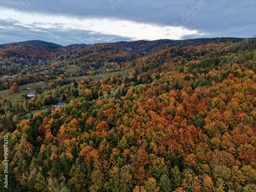 Photography colorful forest view, striking aerial photograph showcasing vibrant fall colors