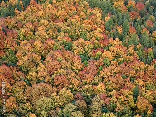 Foto autumn leaves panorama, highangle perspective capturing mosaic of fall foliage o