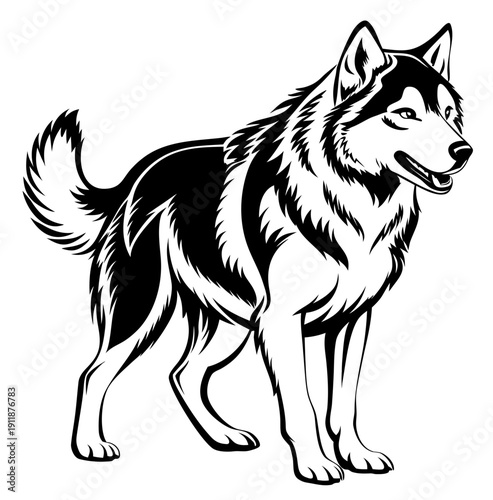 Majestic corgi dog sitting silhouette in artistic black and white illustration