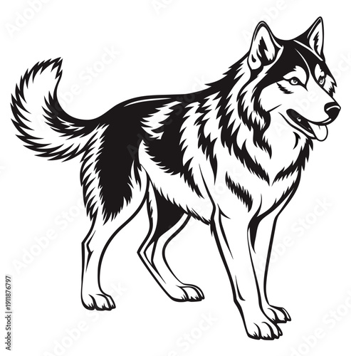 Majestic corgi dog sitting silhouette in artistic black and white illustration