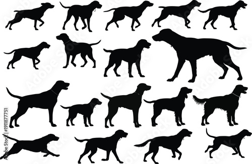 Hunting Dog Silhouette Vector Set for Pointer Breed Logo Design