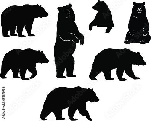 Black Bear Silhouette Vector Set, Wild Grizzly Bear Standing and Walking