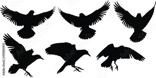 Black Flying Birds Silhouette Set for Nature and Freedom Concept Design