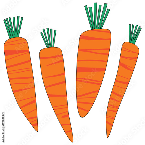 Vegetables carrot