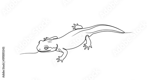 Line drawing of a newt or salamander with its tongue out