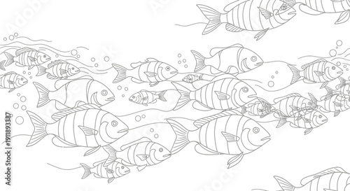 School of Fish Underwater Line Art Drawing