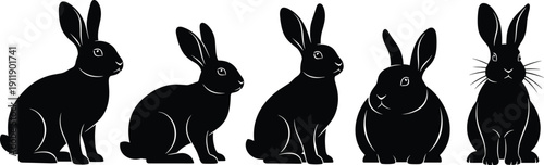 Collection of rabbit silhouettes in different sitting poses isolated on light background, black bunny vector set representing cute domestic animals, wildlife, pet design elements and illustration use